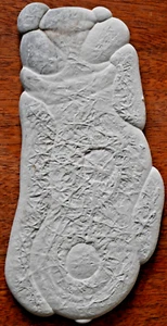 CALCITE CONCRETION, FAIRY STONE, PIERRE-DE-FÉE, 8 X 16 CM, QUEBEC, CANADA 206G - Bild 1 von 1