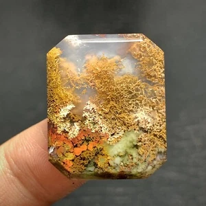 Cabujón de ágata musgo escénico 25x20,5x4 mm alta calidad 25 ct - Imagen 1 de 6