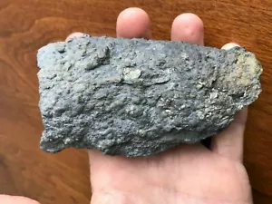 Natürlicher pyritisierter fossiler Massen Tichenor Kalkstein NY 1,5 Pfund Selten - Bild 1 von 12