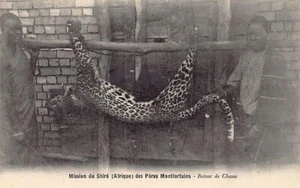 Malawi - Panther - Return from hunting - Publ. Company of Mary - Mission du Shir - Picture 1 of 2