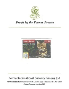 Sierra Leone 1995 Sierra Club Wildlife Animals Cats of Prey Black Foot Proof MNH - Picture 1 of 2