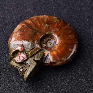 Rainbow Natural Conch Crystal Ammonite Fossil Carved Skull Healing Reiki Dec 1Pc - Picture 1 of 9