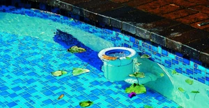 PoolSkim - Swimming Pool Automated Return Line Outlet Leaf Skimmer Catcher - Picture 1 of 5