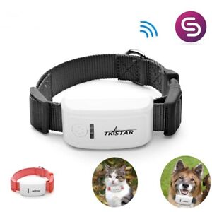 Mini Dog Pet GPS Tracker With Collar GSM/GPRS Positioning Real Time Tracking 1Pc