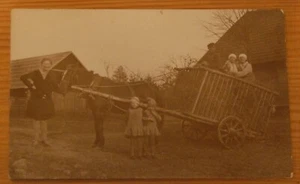 Latvia 1910s-1920s Tadaiķi "Antuļi" OOK Real Photo Horse Coach Country Farming - Picture 1 of 2
