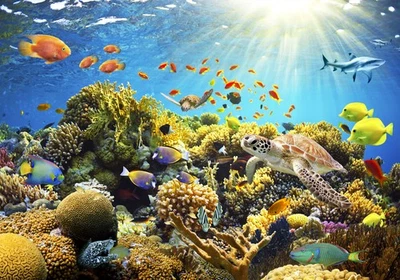 Ozean Meer Fisch Abstrakt VLIES FOTOTAPETE 3D KINDERZIMMER TAPETE WANDBILD XXL - Bild 1 von 2