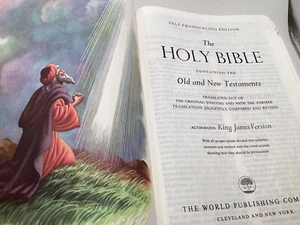 The Holy Bible Golden Heritage Edition Large Print  Imit Leather,Illustrated - Picture 1 of 6