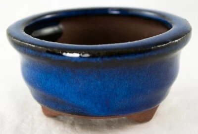 圆形蓝色 Mame 盆景,多肉,口音植物盆 3.25 英寸 x 3.25 x 1.5 英寸 + 网眼 — 第 1/4 张图片