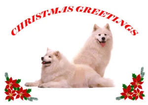 SAMOYED SINGLE DOG PRINT GREETING CHRISTMAS CARD - Picture 1 of 1