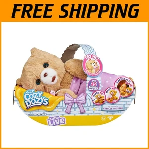 Cubbles Bär mit Decke, Schnuller - Kuscheltier - Bild 1 von 14