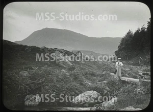 EDWARDIANISCHE DAME bei TYRAU MAWR, CADER IDRIS (1906) - Fotografisches Glasdia - Bild 1 von 2