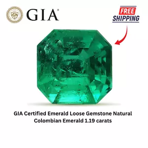 GIA-zertifizierter Smaragd loser Edelstein natürlicher kolumbianischer Smaragd 1,19 Karat - Bild 1 von 6