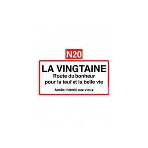 Plaque Humoristique " La Vingtaine " Editions du Tonnerre 30 X 20 cm - Foto 1 di 3
