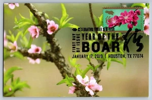 #5340 Chinese Lunar New Year Pink Peach Blossoms FDC Maxi Card w/Pict Cancel - Picture 1 of 2