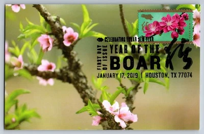 #5340 Chinese Lunar New Year Pink Peach Blossoms FDC Maxi Card w/Pict Cancel - Image 1 of 2