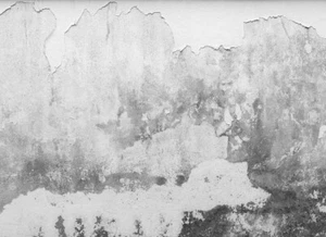 Fototapete 3,5 x 2,55 M. Brittle Wall - Afbeelding 1 van 4
