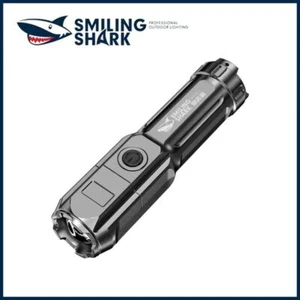 1pc LED Flashlights, 1000 High Lumens, Bright Small Flashlight, Zoomable - Picture 1 of 4