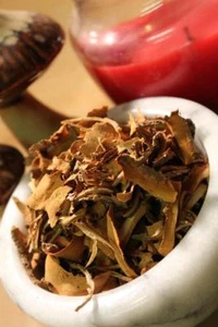 Sassafras Root Bark - Appalachian Mountains Wild Harvested Herb - Picture 1 of 5