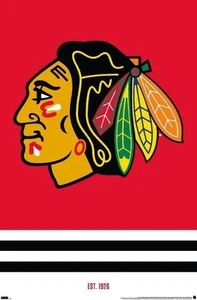 NHL Chicago Blackhawks - Logo 21 METAL SIGN 12X8IN - Picture 1 of 6