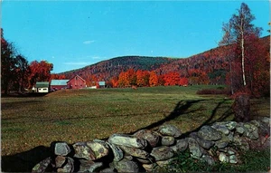 Ludlow Vermont VT Fall Autum Foliage Leaves Farm Barn View Postcard - Picture 1 of 2