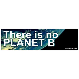 There is No Planet B Bumper Sticker - [11'' x 3''] - Imagen 1 de 1
