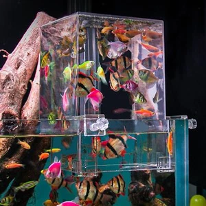Negative Pressure Fish Breeding Box Clear Desktop Aquarium - Picture 1 of 11