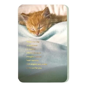 Süße Katze GET WELL Karte, "Schlafendes Kätzchen" von American Greetings + Umschlag - Bild 1 von 5