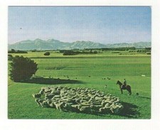 Sanitarium Views of NZ in 1974. North Canterbury Farming
