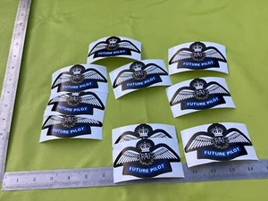 RAF Black White Blue ROYAL AIRFORCE FUTURE PILOT Joblot Bundle 10 STICKERS Party - Foto 1 di 11
