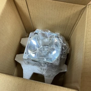 GENUINE ORIGINAL OEM NEC MT820 1020 LAMP UNIT w AIR FILTER NEW - Picture 1 of 3