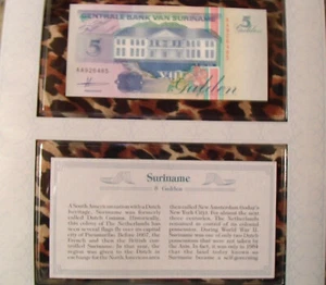 *Most Treasured Banknotes Suriname 5 Gulden Oct 1991 P 136 UNC prefix AA - Picture 1 of 3