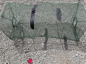 Behr KÖDERFISCHREUSE + Futterfach Reuse Angelsport Köderfisch 600mm. - Bild 1 von 3