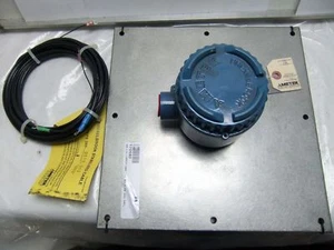 Ametek 700-02070001 Flush Sensing Element W/Cable - Picture 1 of 3