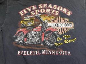 CAMISA HARLEY DAVIDSON VINTAGE PARA HOMBRE XL EVELETH MINNESOTA CINCO TEMPORADAS - Imagen 1 de 9