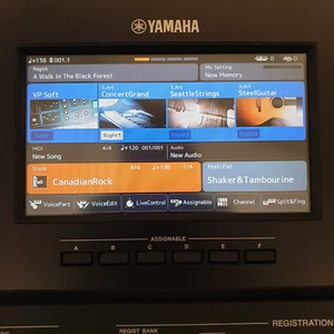 Original LCD Screen with touch Display Panel For yamaha PSR-SX700 PSR-SX900 ! - Picture 1 of 2