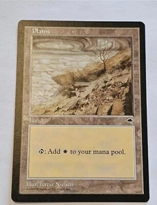 Plains (V.2)●TEMPEST●MTG●1997●INGLÉS●TIERRA BÁSICA●CASI COMO NUEVO●18013 - Imagen 1 de 1