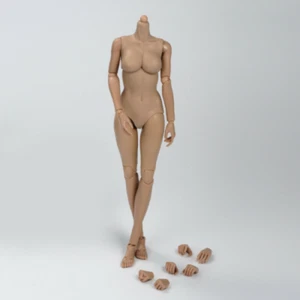 Cuerpo busto medio bronceado femenino de EE. UU. 1/6 para figura de acción de 12" muñeca modelo soldado - Imagen 1 de 12