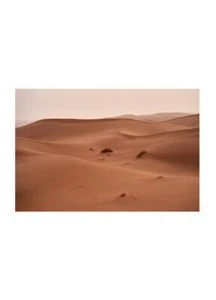 Ground Poster Poster Room Studio Living Room Furniture Quality Print Declea Home - Picture 1 of 5