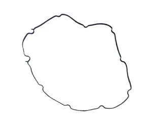 72-Piece 25700979 Comprehensive Primary Case Gasket - Picture 1 of 2