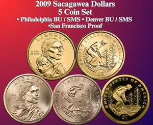 2009 P D S SACAGAWEA DOLLAR 5 COIN SET BU + SMS + PROOF ULTRA HEAVY CAMEO - Picture 1 of 3