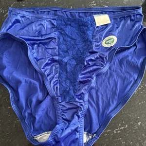 Vintage New Gloria Vanderbilt  Hi Cut  Second Skin Satin Lace Panties  Size 10 - Picture 1 of 12
