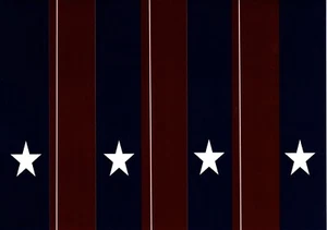 Veteran Veterans Day Stars Thank You Military Patriotic Patriotism Greeting Card - Picture 1 of 3