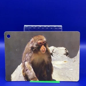 Animal Card Mammalian 4.25 x 2.75 Inch Made in Japan Japanese JP #67 - Picture 1 of 8