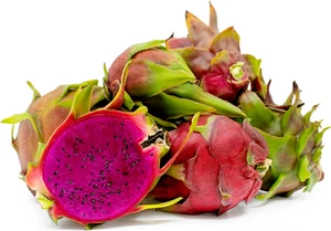 BeauFlora Dragonfruit  ( American Beauty , Rooted Plant ) 1 Bare-Root Plant - Picture 1 of 1