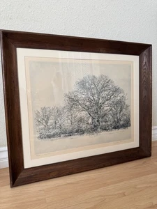 Herbert Fink SIGNED Oak Tree Etching 1975 46/100 Framed 27.5” x 23” - Picture 1 of 9