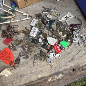Lot Of Vintage and Modern Random Keys Some On Key Chains - Picture 1 of 7