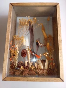 Vintage Antique Japanese Wood And Glass Enclosed Diorama Perched Bluebird Pair - Picture 1 of 8