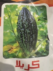 Bitter Gourd seeds kerela,korolla Bangladeshi hybrid karela 20 Seeds. - - Picture 1 of 2