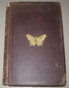 Guide to The Study Of Insects-  A.S. Packard, 1873 3rd edition. illustrated - Picture 1 of 7