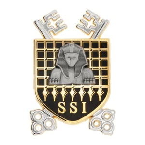 VERITABLE INSIGNE BREVET SSI SECURITE DES SYSTEMES D'INFORMATION TRANSMISSION - Imagen 1 de 1